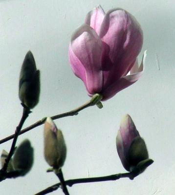 Прикрепленное изображение: DSCF6735.jpg